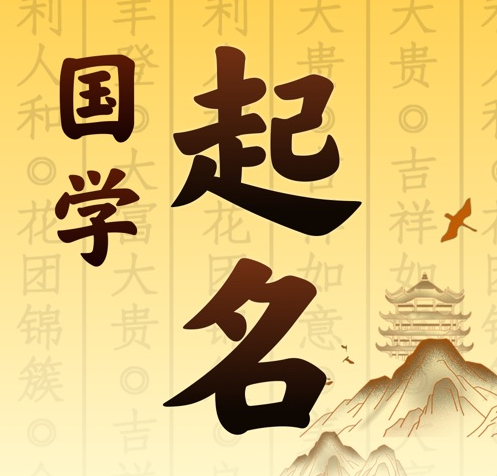 黎平国学起名 人工起名一对一